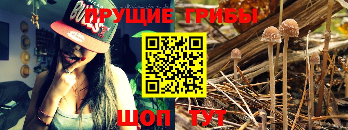 Выкса  Галлюциногенные грибы мухоморы  Вход с VPN 