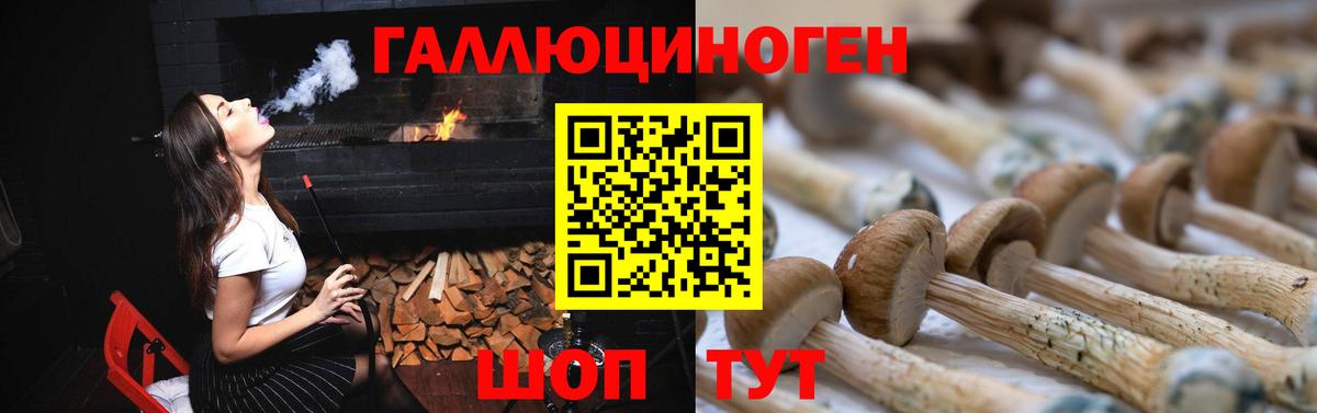 Галлюциногенные грибы Psilocybine cubensis Выкса